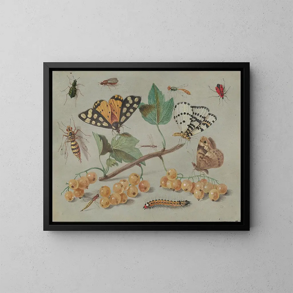 Studie von Schmetterlingen und Insekten - Jan van Kessel der Ältere — gerahmtes Bild an der Wand