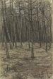 Landschaftsbild - Jan Veth — Ansicht des Kunstwerks