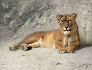 Löwin im Ruhezustand - Jan van Essen — Ansicht des Kunstwerks
