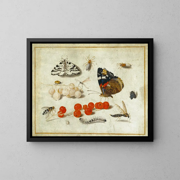 Schmetterling, Raupe, Milbe, Insekten und Johannisbeeren - Jan van Kessel der Jüngere — gerahmtes Bild an der Wand