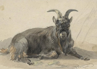 Jan van Ravenswaay - Liggende zwarte geitenbok.webp