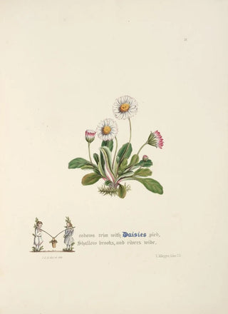 Jane Elizabeth Giraud - Daisies.webp