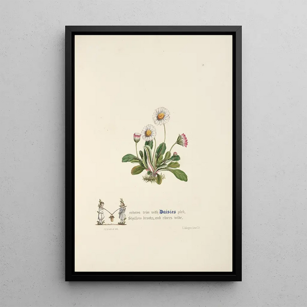 Jane Elizabeth Giraud - Daisies.webp