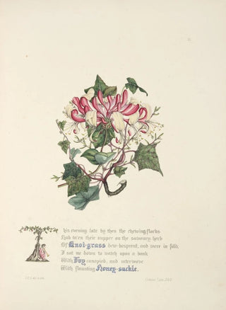 Jane Elizabeth Giraud - Knot grass ivy and honeysuckle.webp