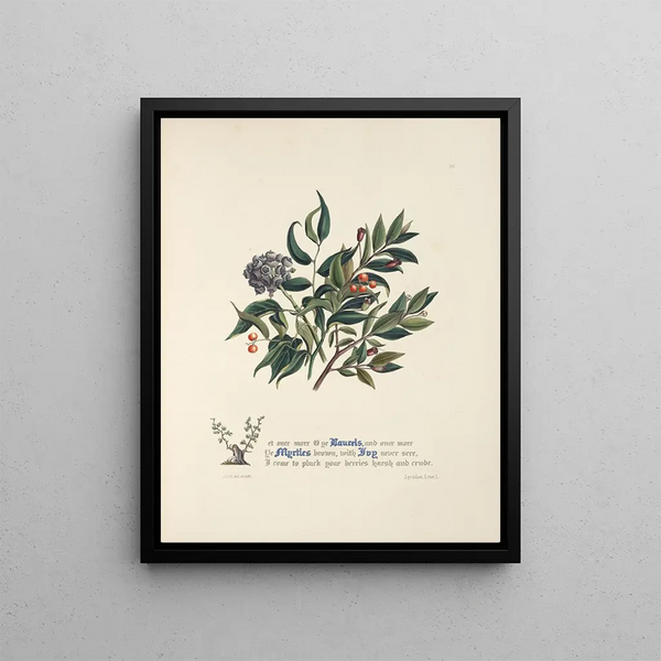 Jane Elizabeth Giraud - Laurels myrtles and ivy.webp