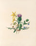 Die Blumenfest Pl02 - Jane Elizabeth Giraud — Ansicht des Kunstwerks