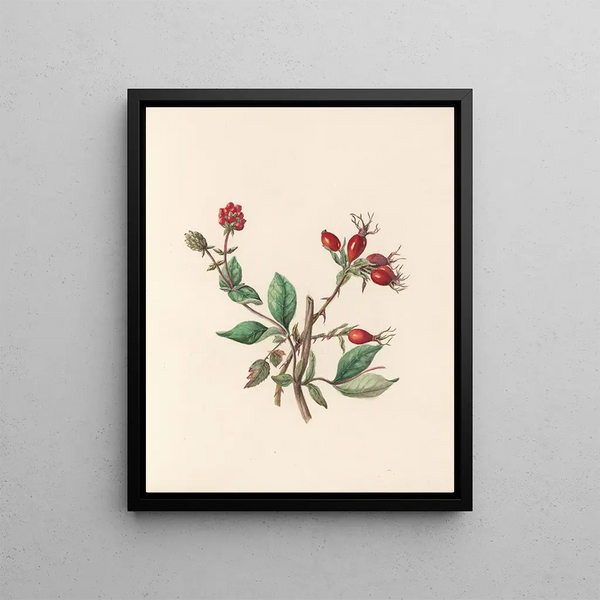 Jane Elizabeth Giraud - The fte of the flowers Pl10.webp