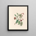 Die Blumenfest Pl12 - Jane Elizabeth Giraud — gerahmtes Bild an der Wand