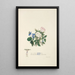 Violette und Rosen - Jane Elizabeth Giraud — gerahmtes Bild an der Wand