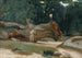 Holzfäller-Gemälde - Jean-Baptiste-Camille Corot — Ansicht des Kunstwerks