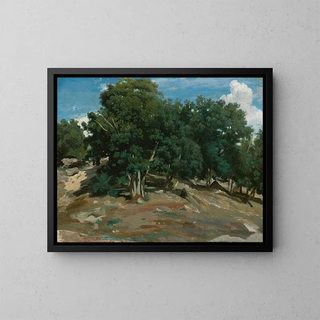 JeanBaptisteCamille Corot - Fontainebleau Oak Trees at BasBrau.webp
