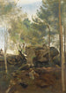 Fontainebleau Pins und Birken in den Felsen - Jean-Baptiste-Camille Corot — Ansicht des Kunstwerks