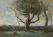 Der große Baum, Umgebung von Gournay - Jean-Baptiste-Camille Corot — Ansicht des Kunstwerks