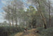 Stadt Ville d'Avray, der Reiter am Eingang des Waldes - Jean-Baptiste-Camille Corot — Ansicht des Kunstwerks