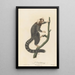 L'Ouistiti - Jean-Baptiste Audebert — gerahmtes Bild an der Wand