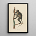 Der Hocheur - Jean-Baptiste Audebert — gerahmtes Bild an der Wand