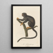 Le Tamarin - Jean-Baptiste Audebert — gerahmtes Bild an der Wand