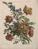 Blumenstrauß - Jean-Baptiste Monnoyer — Ansicht des Kunstwerks