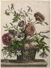 Einfacher Gänseblümchen Anemone Jasmin - Jean-Baptiste Monnoyer — Ansicht des Kunstwerks