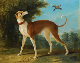 Windhund in einer Landschaft - Jean-Baptiste Oudry — Ansicht des Kunstwerks