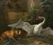 Schwan angegriffen von einem Hund - Jean-Baptiste Oudry — Ansicht des Kunstwerks