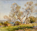 Die Olivenbäume in Cap d'Antibes - Jean-Henri Zuber — Ansicht des Kunstwerks