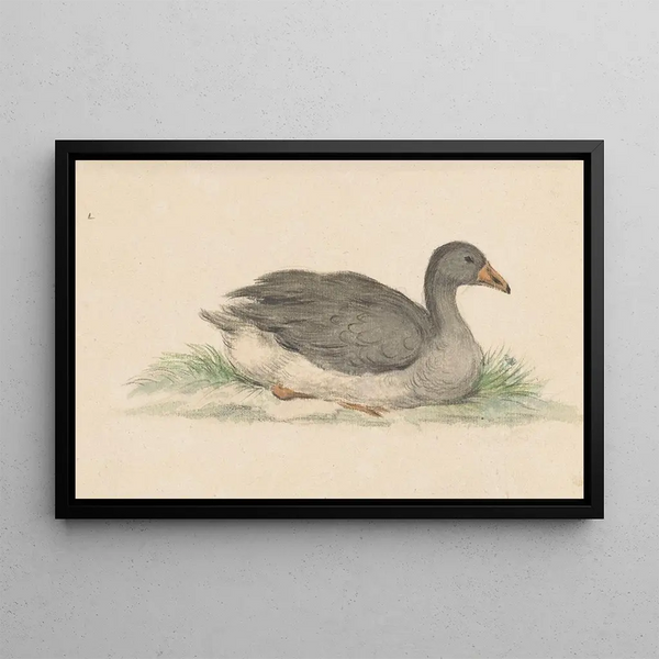 Ente nach rechts - Jean Bernard — gerahmtes Bild an der Wand