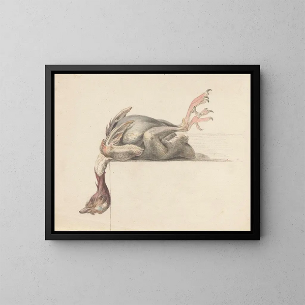 Gefiederter Vogel kopfüber - Jean Bernard — gerahmtes Bild an der Wand