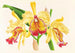 Cattleya aurea - Jean Jules Linden — Ansicht des Kunstwerks