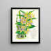Dendrobium mirbelianum - Jean Jules Linden — gerahmtes Bild an der Wand