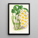 Dendrobium thyrsiflorum - Jean Jules Linden — gerahmtes Bild an der Wand