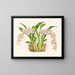Odontoglossum lucianianum - Jean Jules Linden — gerahmtes Bild an der Wand