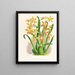 Odontoglossum schillerianus - Jean Jules Linden — gerahmtes Bild an der Wand