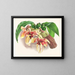 Stanhopea tigrina - Jean Jules Linden — gerahmtes Bild an der Wand