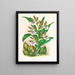 Zygopetalum intermédiaire - Jean Jules Linden — gerahmtes Bild an der Wand