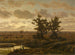 Marais dans les Kempen - Jean Pierre François Lamorinière — Ansicht des Kunstwerks