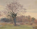 Baum in Majestät in einer Wiese - Jeanne Jégou-Cadart — Ansicht des Kunstwerks