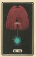 Feuerwerk bei Nacht Nr. 56 - Jinta Hirayama — Ansicht des Kunstwerks