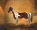 Ein Pferd in einer Stallung - Johann Adam Klein — Ansicht des Kunstwerks