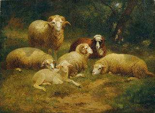 Schafe - Johann Baptist Hofner — Ansicht des Kunstwerks