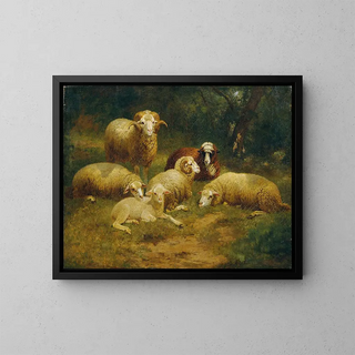 Schafe - Johann Baptist Hofner — gerahmtes Bild an der Wand