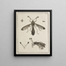 Archive der Geschichte der Insekten Pl06 - Johann Caspar Füssli — gerahmtes Bild an der Wand
