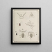 Archive der Geschichte der Insekten Pl07 - Johann Caspar Füssli — gerahmtes Bild an der Wand