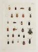 Archive der Geschichte der Insekten Pl21 - Johann Caspar Füssli — Ansicht des Kunstwerks