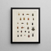 Archive der Geschichte der Insekten Pl21 - Johann Caspar Füssli — gerahmtes Bild an der Wand