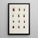 Archive der Geschichte der Insekten Pl22 - Johann Caspar Füssli — gerahmtes Bild an der Wand