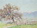 Ansicht von Dornbirn - Johann Charles Palmi — Ansicht des Kunstwerks