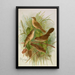 Acrocephalus agricolus Jardon Cettia cetti Marm Locustella lanceolata - Johann Friedrich Naumann — gerahmtes Bild an der Wand