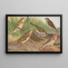 Anthus trivialis pratensis Richardi Vieillot cervinus pensilvanicus - Johann Friedrich Naumann — gerahmtes Bild an der Wand