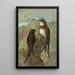 Apus apus Apus melba - Johann Friedrich Naumann — gerahmtes Bild an der Wand